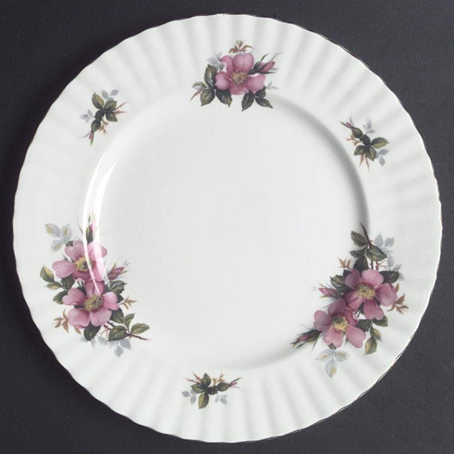 Prairie Rose Dinner Plate by Royal Albert-1