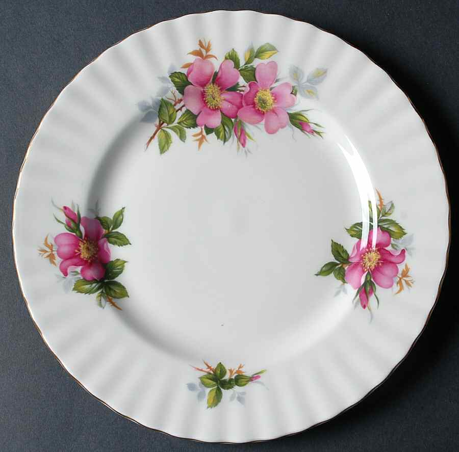 Prairie Rose Salad Plate by Royal Albert-1