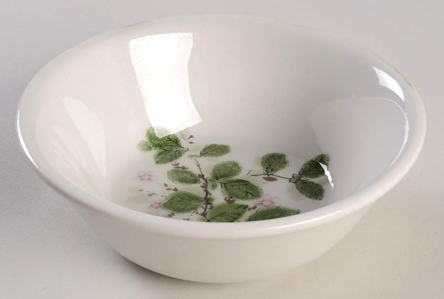 Rose Arbour Coupe Cereal Bowl by Royal Albert-1