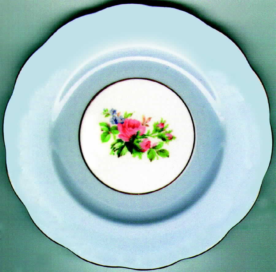 ROA20 Dinner Plate by Royal Albert-1