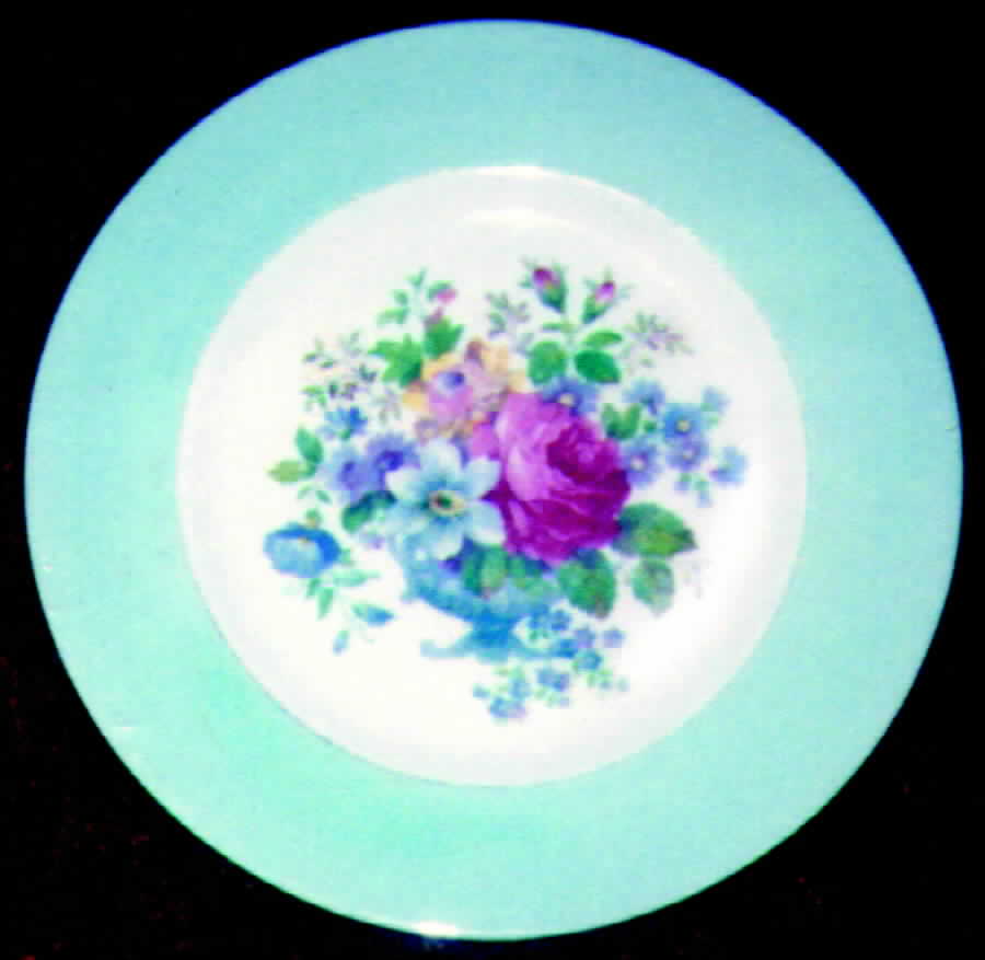ROA28 Dinner Plate by Royal Albert-1