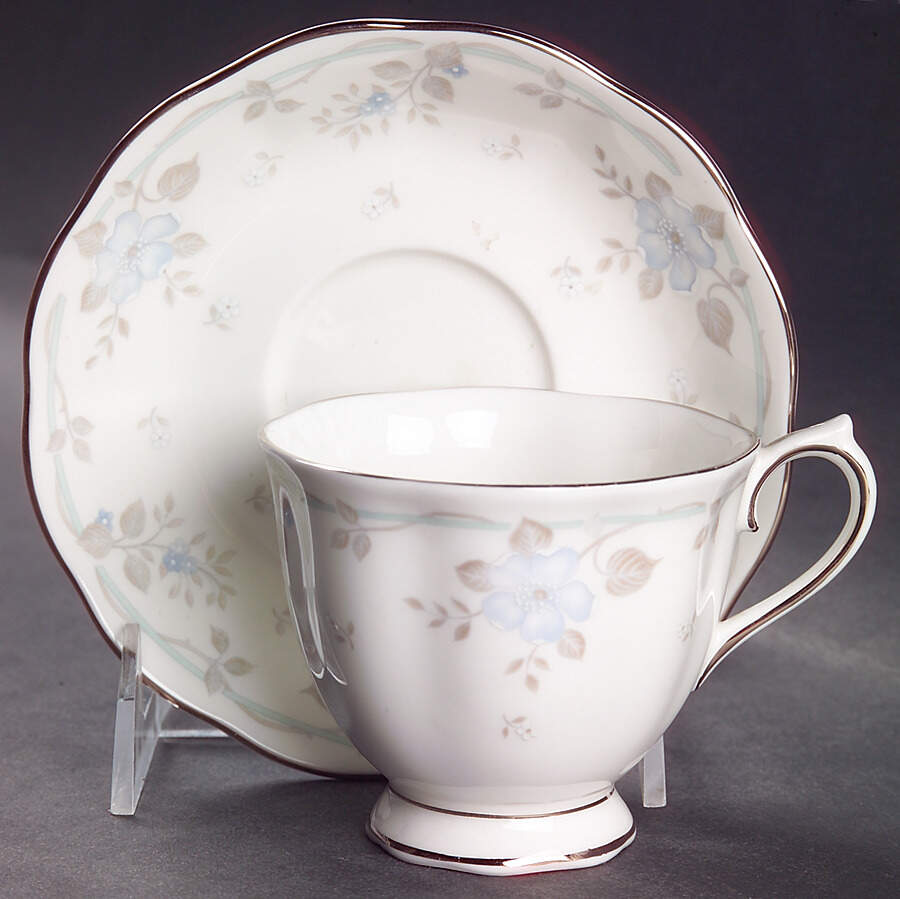 Satin Rose Footed Cup & Saucer Set by Royal Albert-1