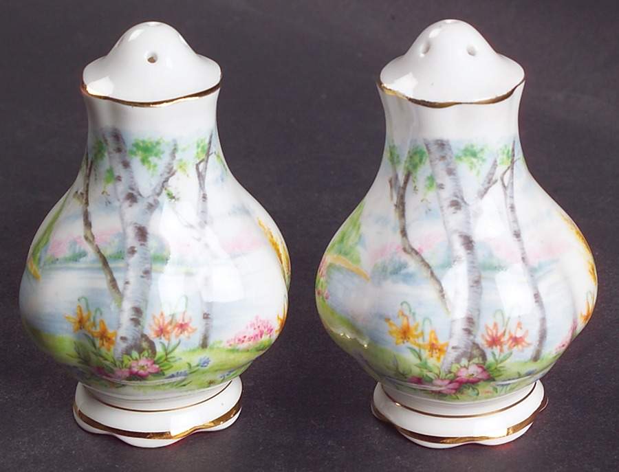 Silver Birch Salt & Pepper Set by Royal Albert-1
