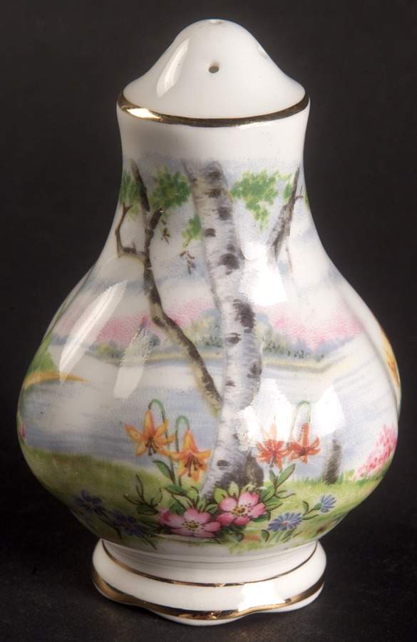 Silver Birch Salt Shaker by Royal Albert-1