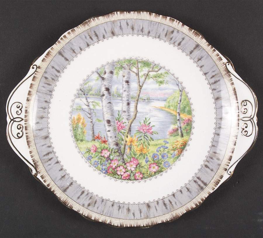 Silver Birch Handled Cake Plate by Royal Albert-1