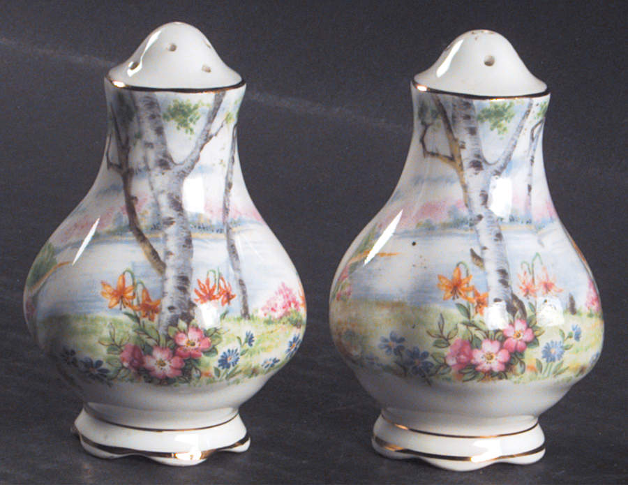 Silver Birch Salt & Pepper Set by Royal Albert-1