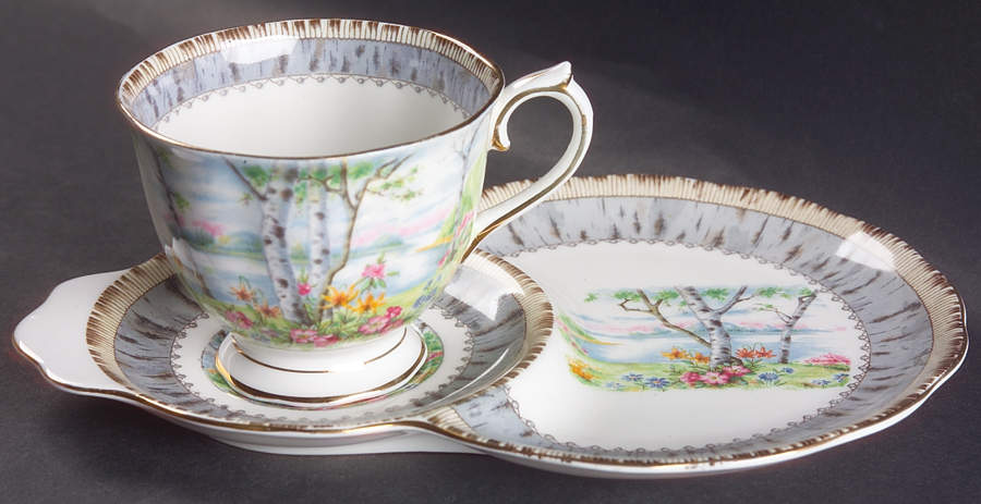 Silver Birch Dessert Plate & Cup Set by Royal Albert-1