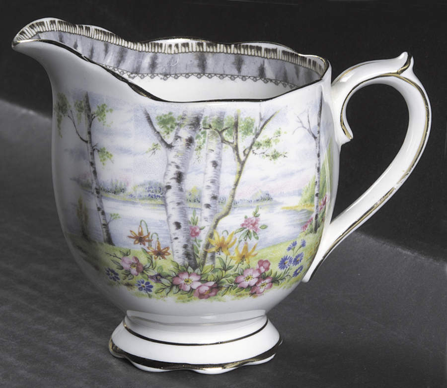 Silver Birch Creamer by Royal Albert-1