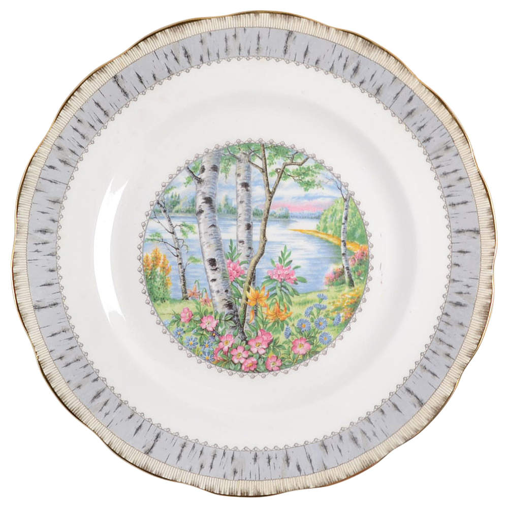 Silver Birch Dinner Plate by Royal Albert-1