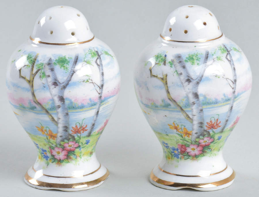 Silver Birch Salt & Pepper Set by Royal Albert-1