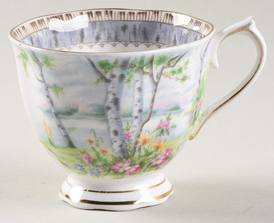 Silver Birch Footed Cup by Royal Albert-1