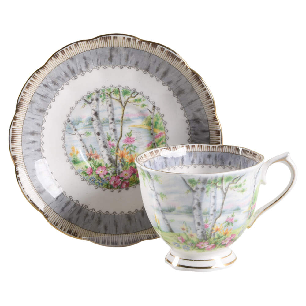 Silver Birch Footed Cup & Saucer Set by Royal Albert-1