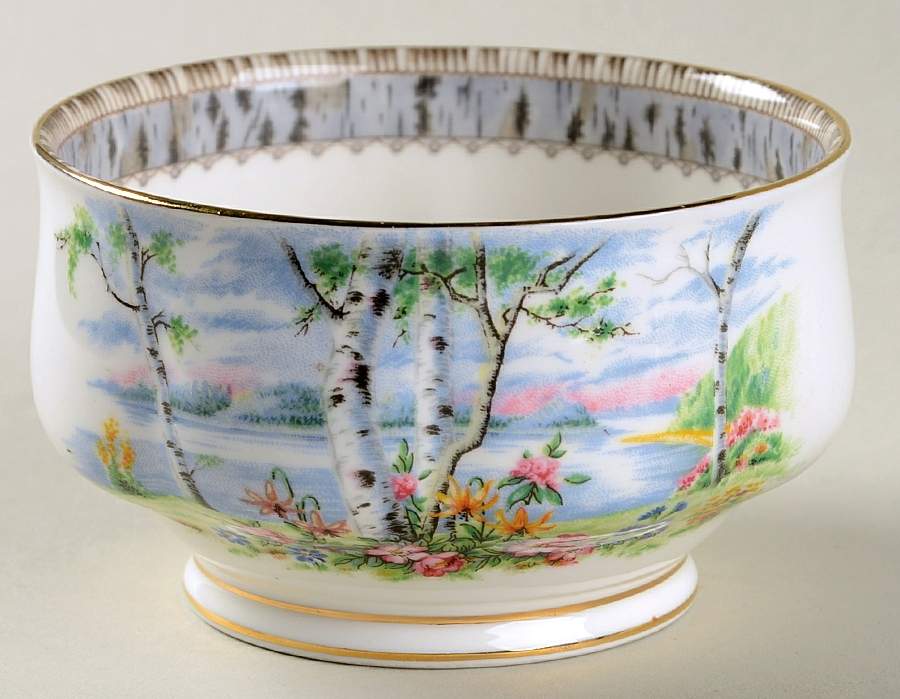 Silver Birch Open Sugar Bowl by Royal Albert-1