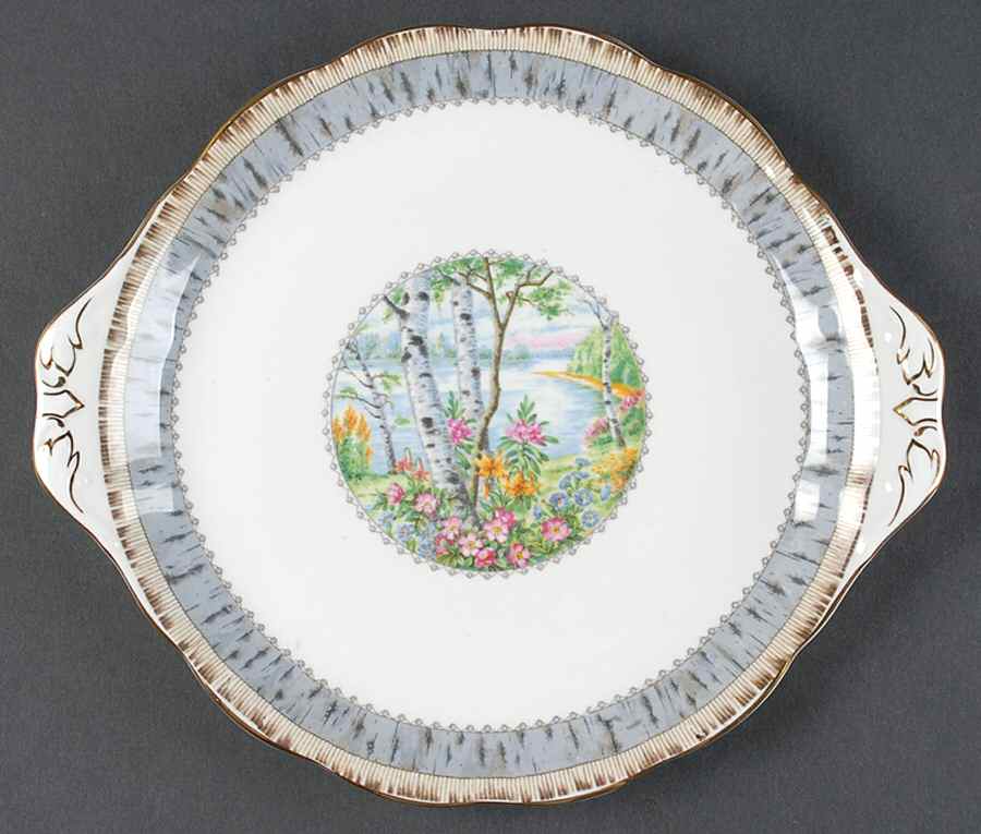 Silver Birch Handled Cake Plate by Royal Albert-1