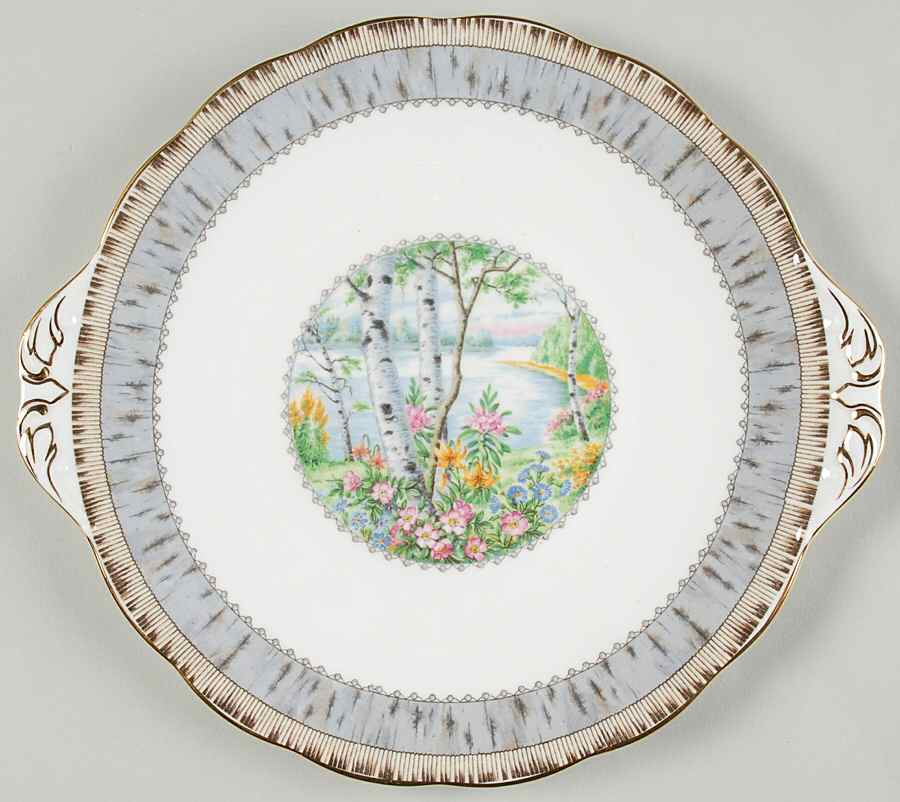 Silver Birch Handled Cake Plate by Royal Albert-1