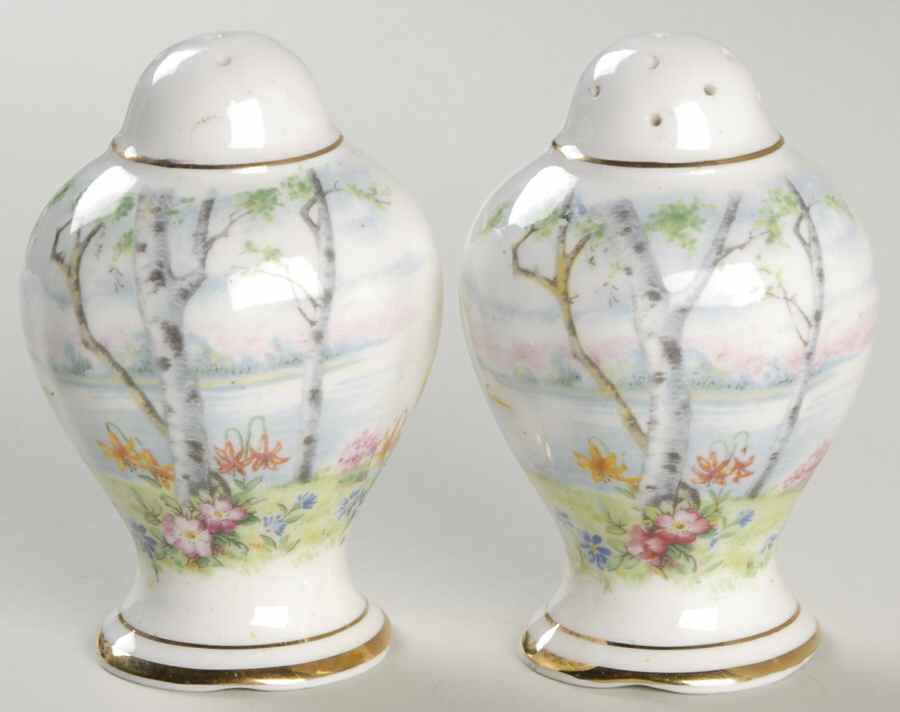 Silver Birch Salt & Pepper Set by Royal Albert-1
