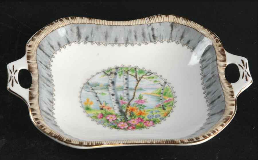 Silver Birch Bon Bon by Royal Albert-1