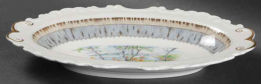 Silver Birch Regal Tray by Royal Albert-1