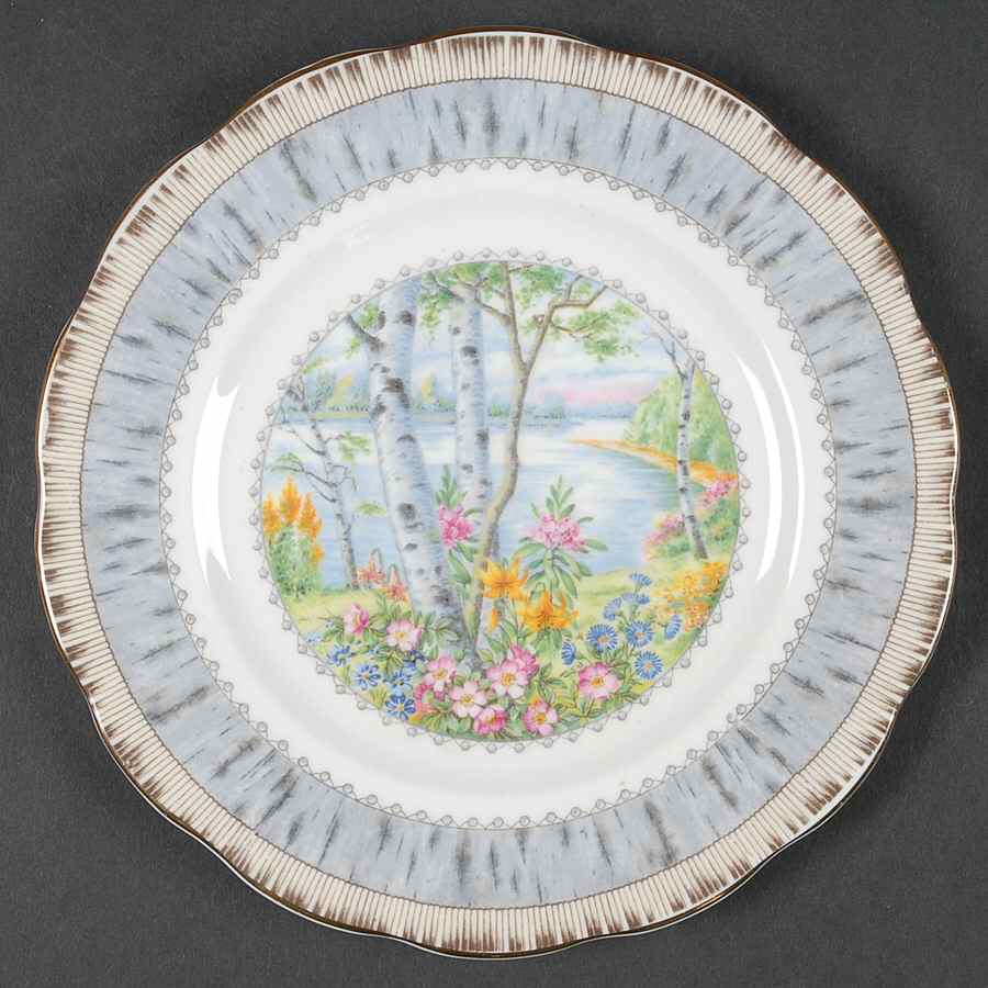 Silver Birch Dessert/Pie Plate by Royal Albert-1