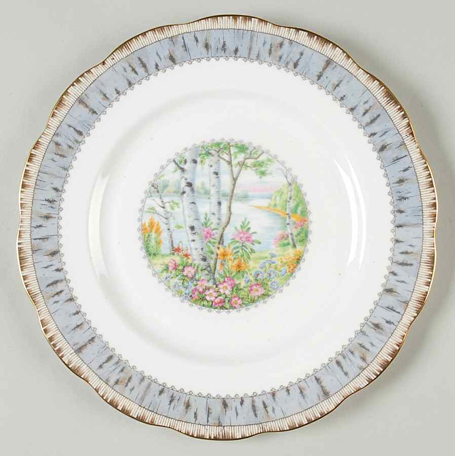 Silver Birch Luncheon Plate by Royal Albert-1