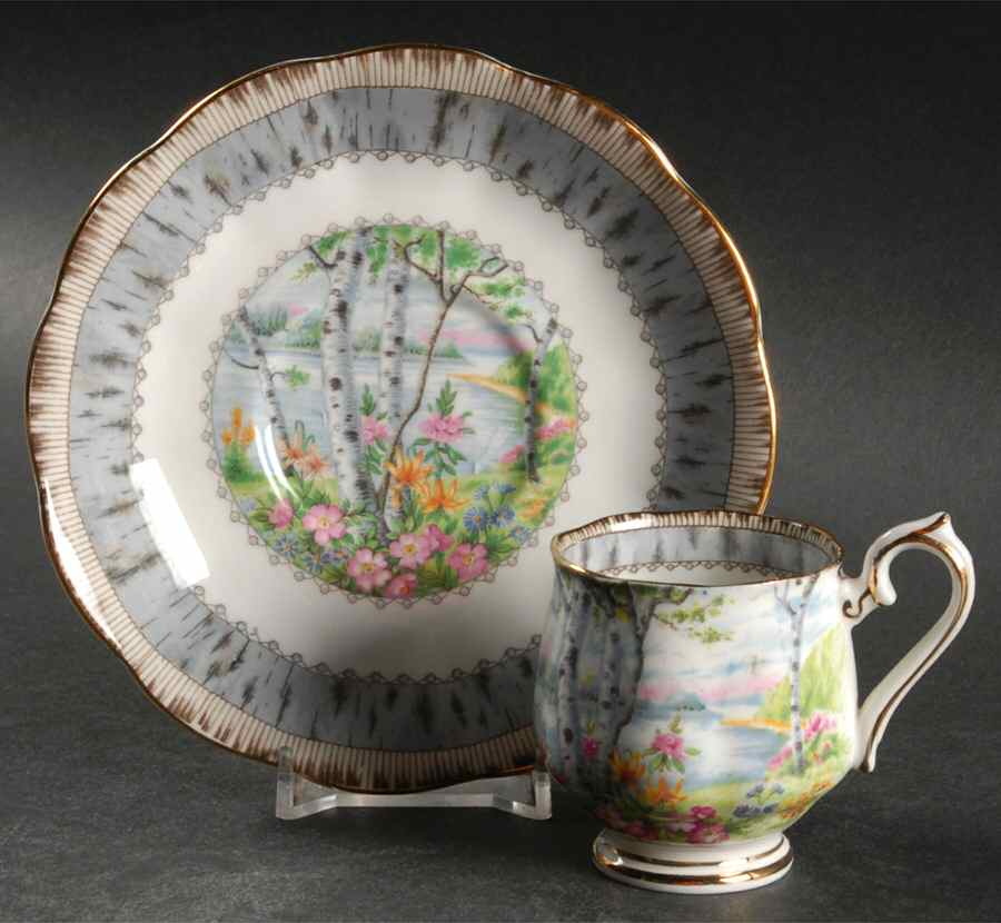 Silver Birch Footed Demitasse Cup & Saucer Set by Royal Albert-1