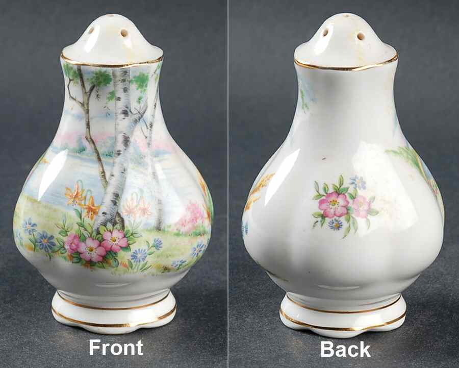 Silver Birch Salt Shaker by Royal Albert-1