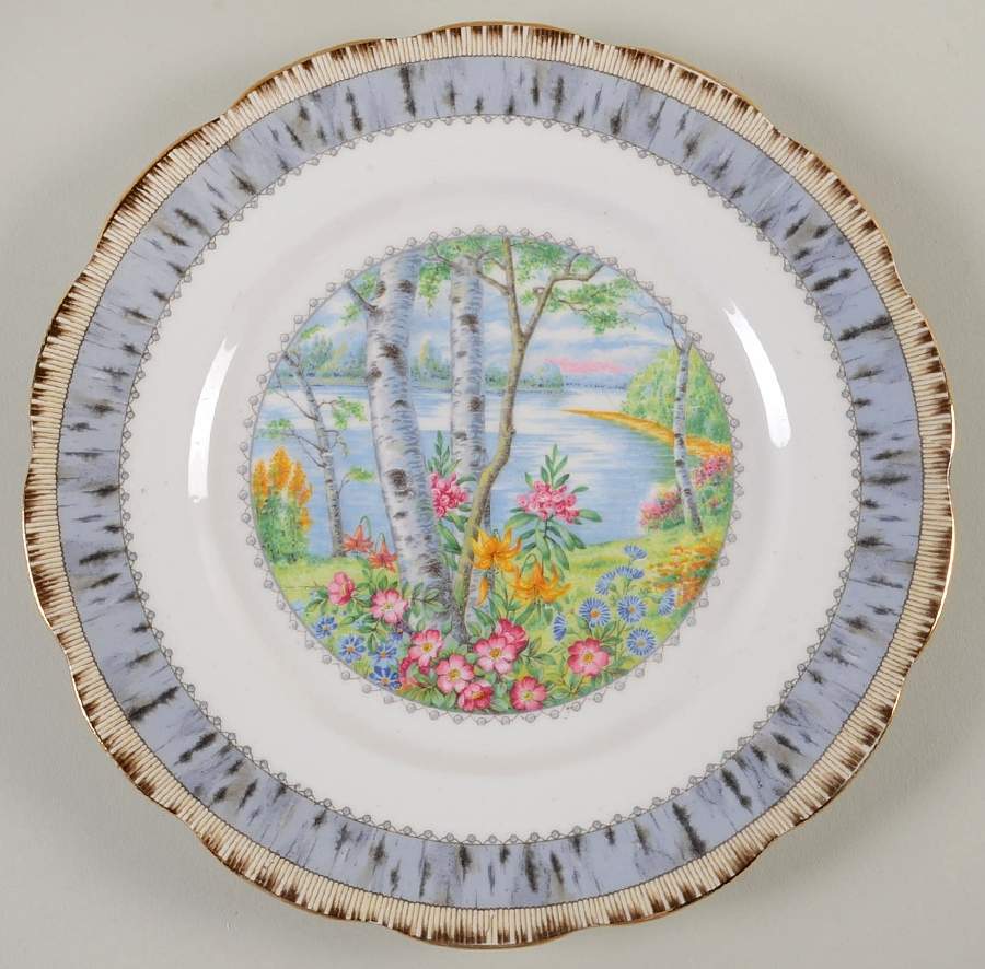 Silver Birch Luncheon Plate by Royal Albert-1