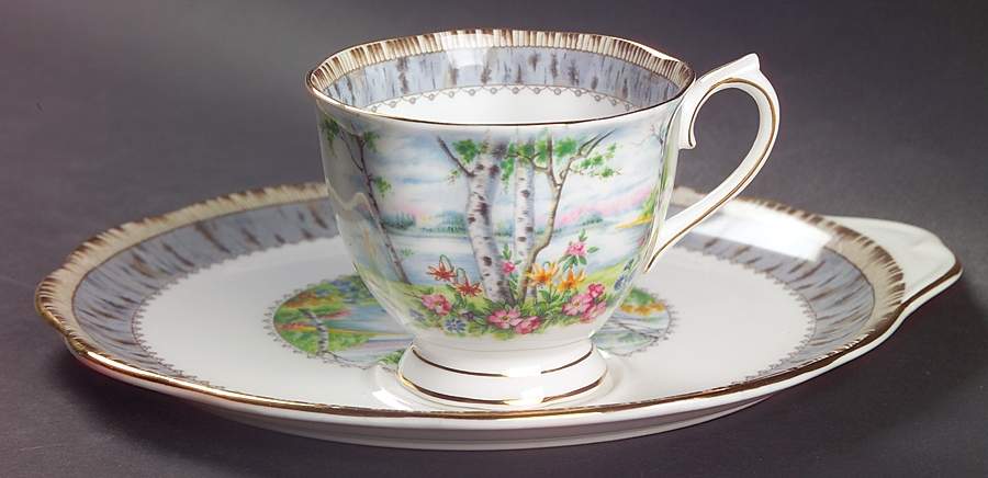 Silver Birch Snack Plate & Cup Set by Royal Albert-1