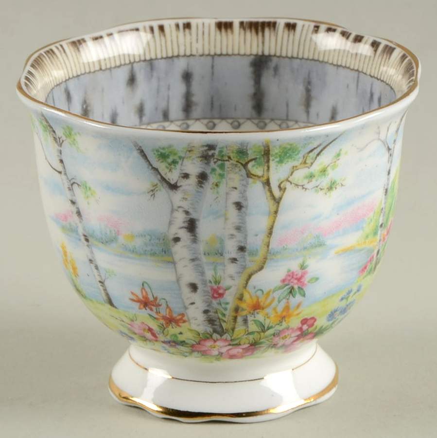 Silver Birch Open Sugar Bowl by Royal Albert-1
