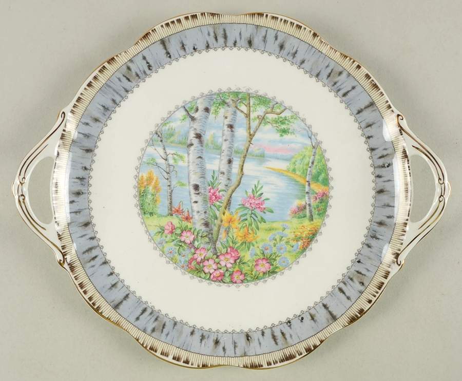 Silver Birch Handled Cake Plate by Royal Albert-1