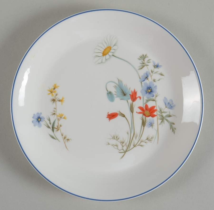 Summer Breeze Salad Plate by Royal Albert-1