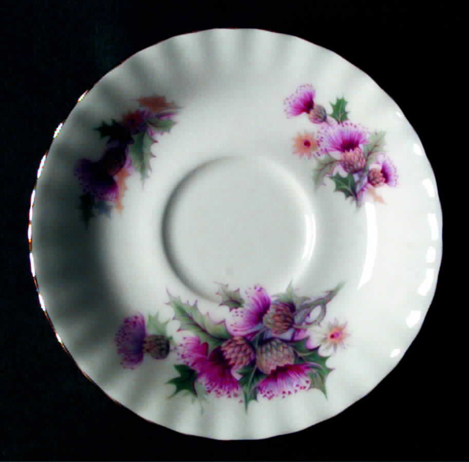 Summertime Series Saucer for Footed Cup by Royal Albert-1