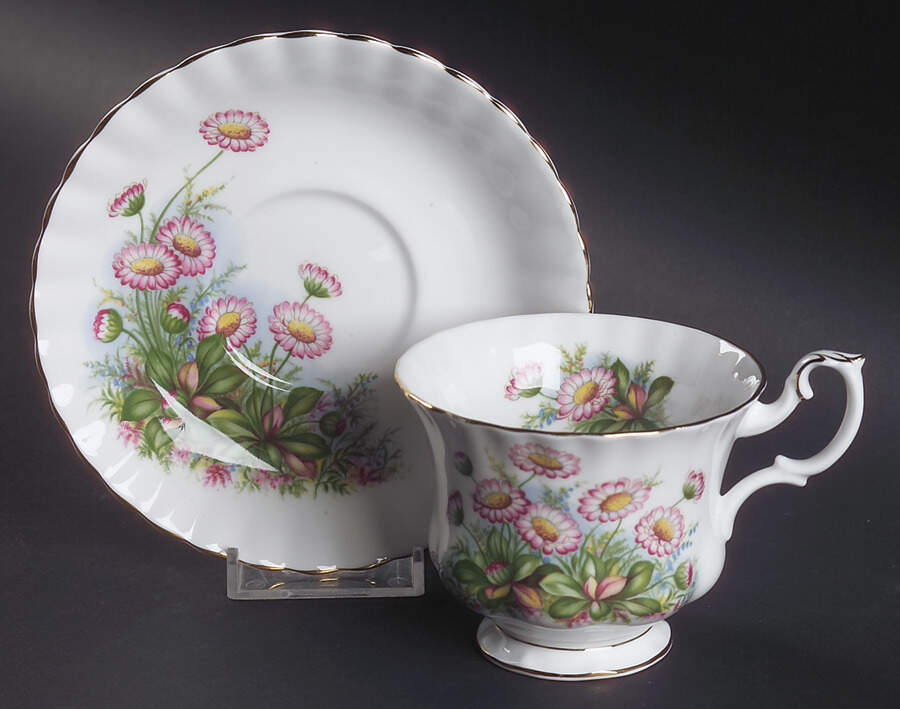 Sunnyside Series (Hampton Shape) Footed Cup & Saucer Set by Royal Albert-1