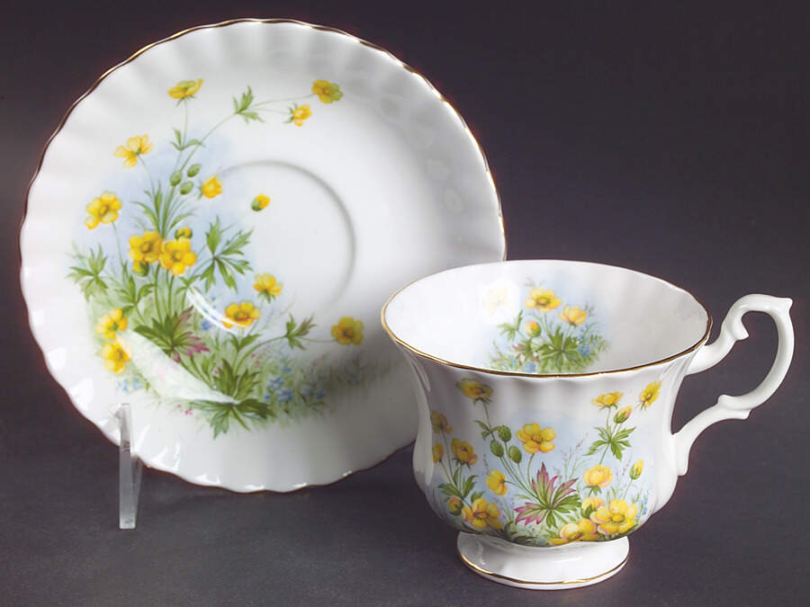Sunnyside Series (Hampton Shape) Footed Cup & Saucer Set by Royal Albert-1