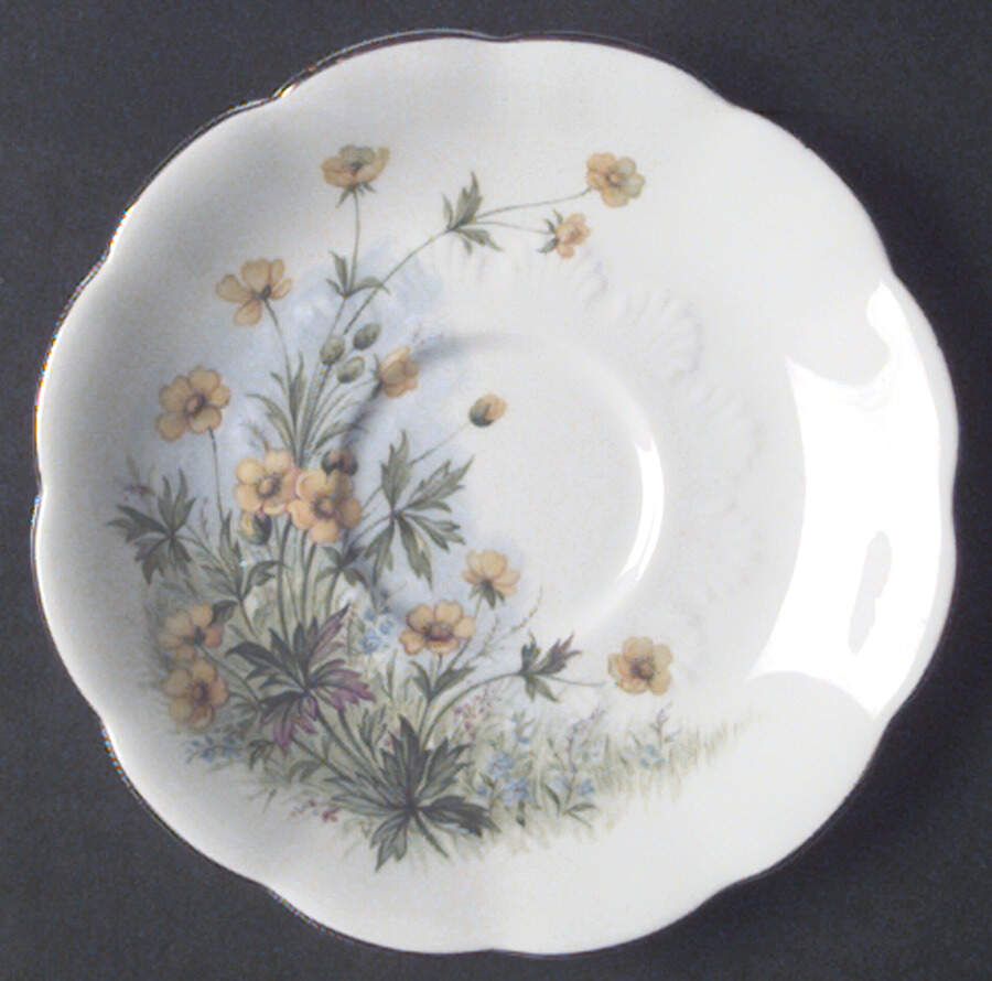 Sunnyside Series (Hampton Shape) Saucer for Footed Cup by Royal Albert-1