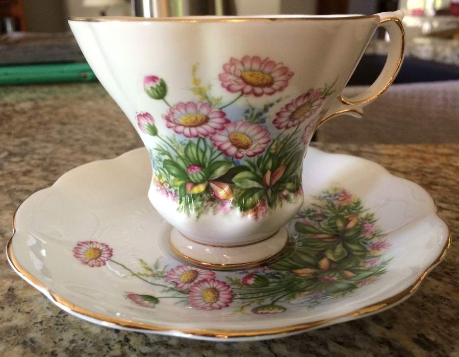 Sunnyside Series (Hampton Shape) Footed Cup & Saucer Set by Royal Albert-1