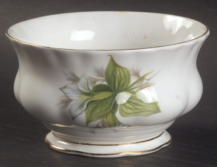 Trillium Mini Open Sugar Bowl by Royal Albert-1