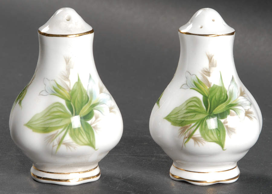 Trillium Salt & Pepper Set by Royal Albert-1