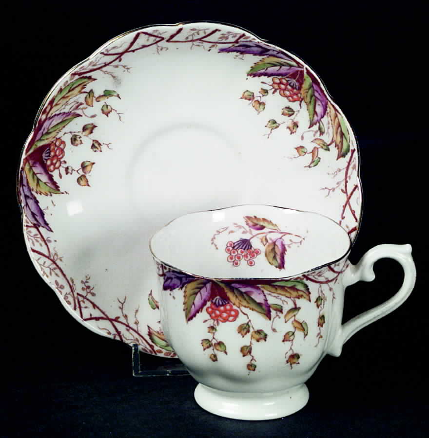 Virginia Footed Cup & Saucer Set by Royal Albert-1