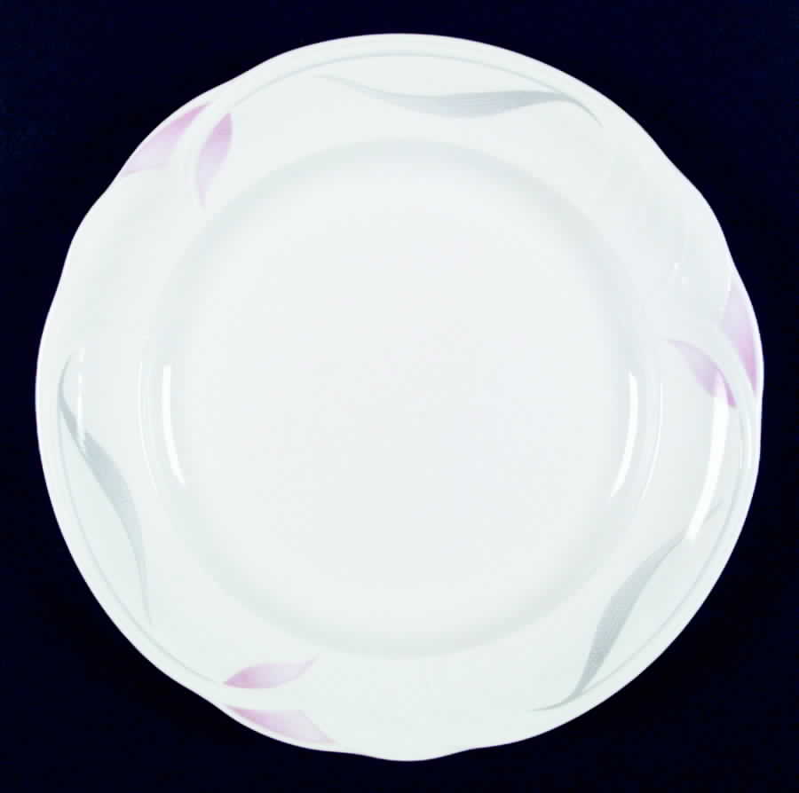 Vista Dinner Plate by Royal Albert-1
