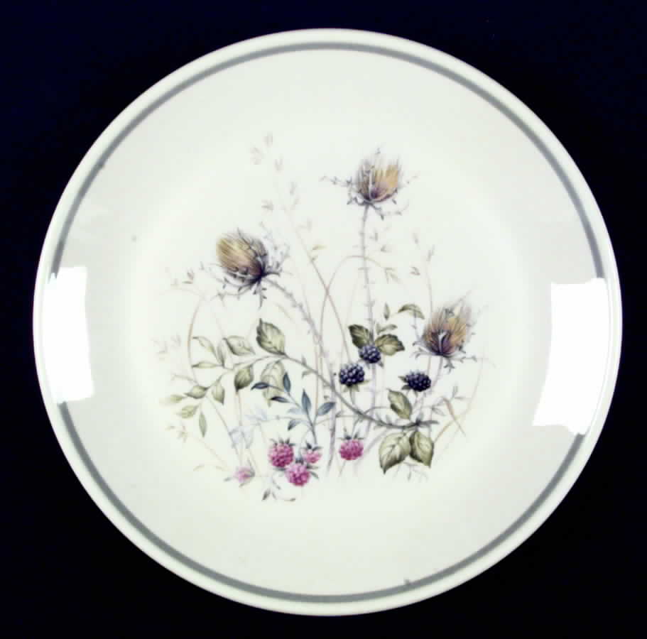 Wild Briar Dinner Plate by Royal Albert-1