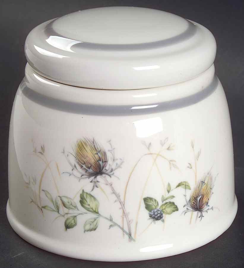 Wild Briar Sugar Bowl & Lid by Royal Albert-1