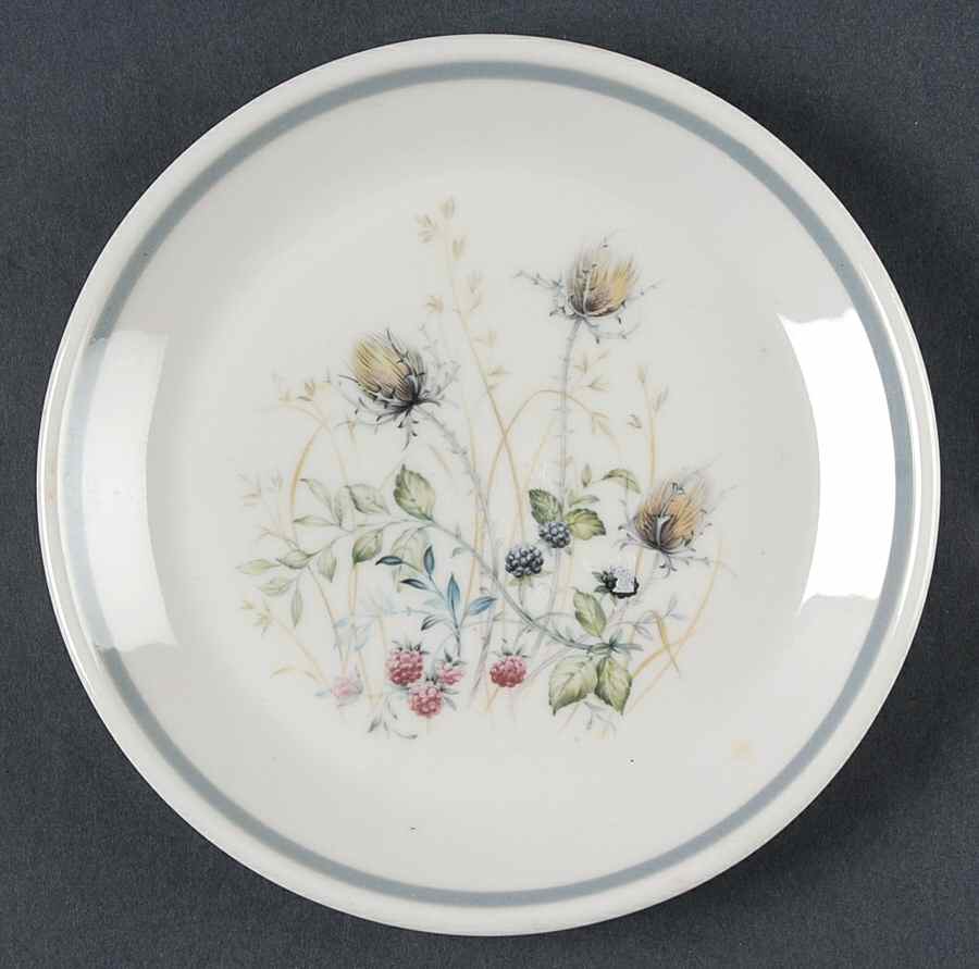 Wild Briar Bread & Butter Plate by Royal Albert-1