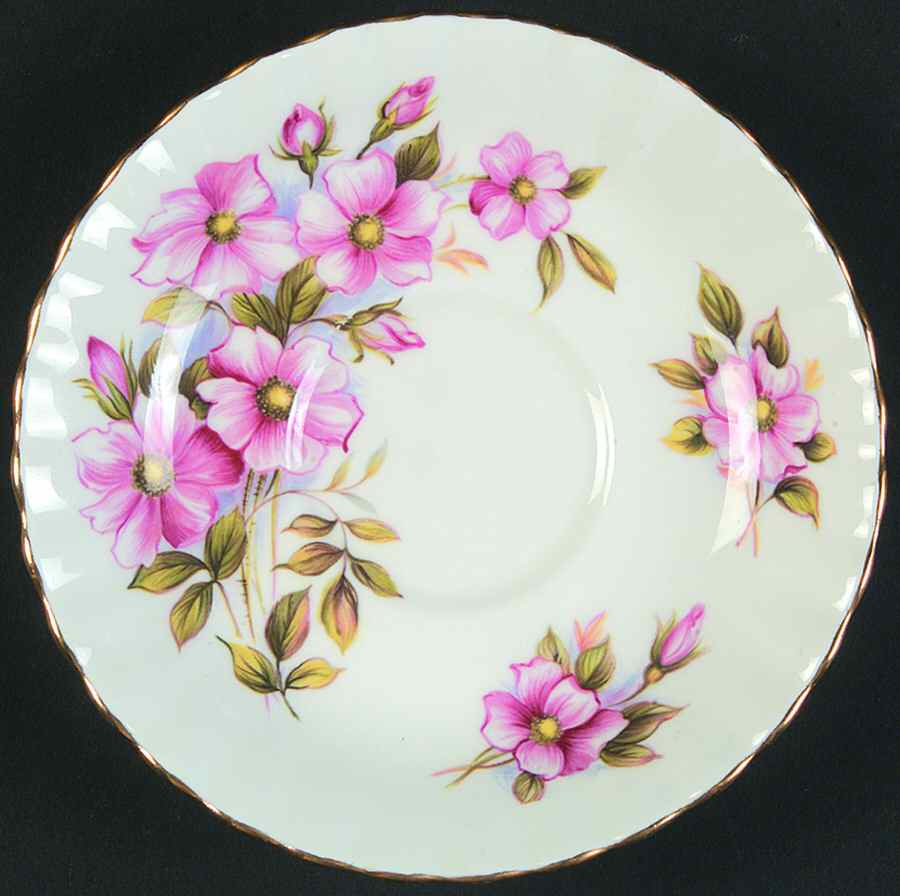Wild Rose Saucer by Royal Albert-1