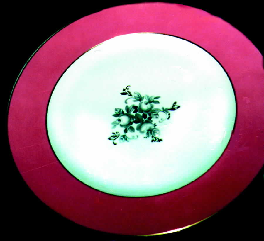 ROB106 Dinner Plate by Royal Bayreuth-1