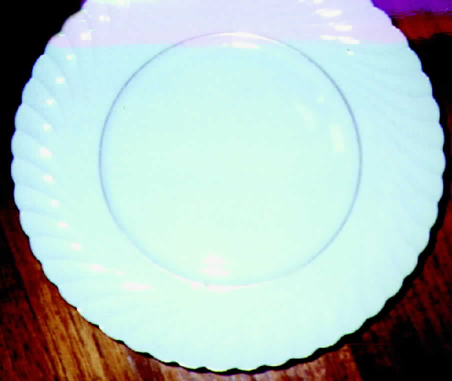 ROB111 Dinner Plate by Royal Bayreuth-1