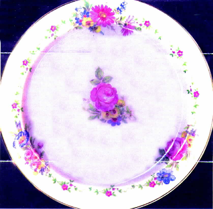 ROB124 Salad Plate by Royal Bayreuth-1