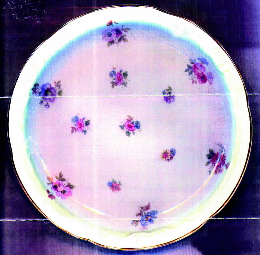 ROB127 Salad Plate by Royal Bayreuth-1