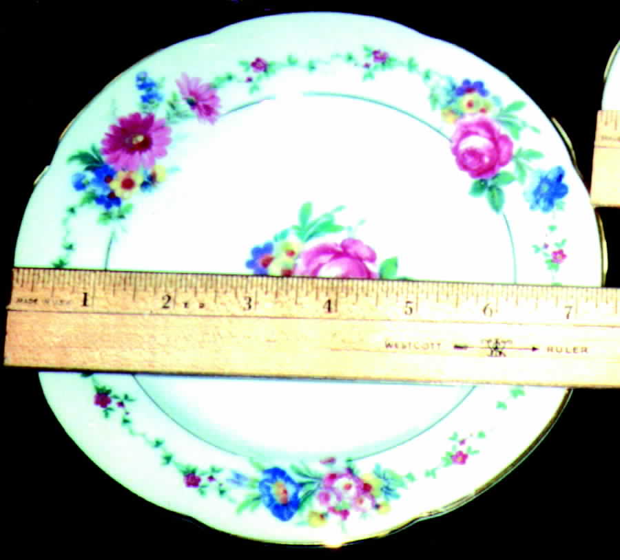 ROB129 Salad Plate by Royal Bayreuth-1