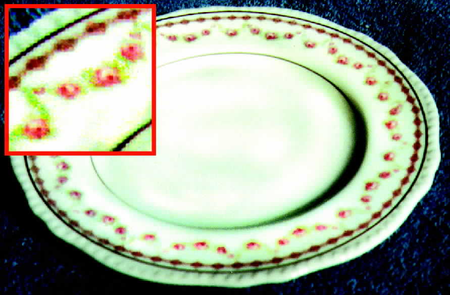 ROB134 Dinner Plate by Royal Bayreuth-1